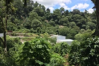 Tasting Series: El Socorro Geisha 2021